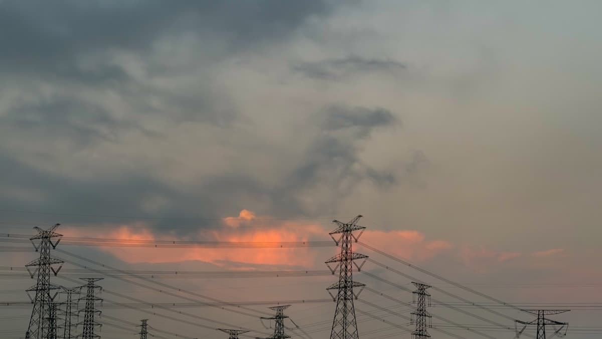 Un Mercado Altamente Concentrado: La Falta de Diversificación 20 Años Después